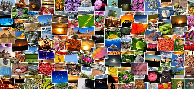 Image Albums numériques en ligne.