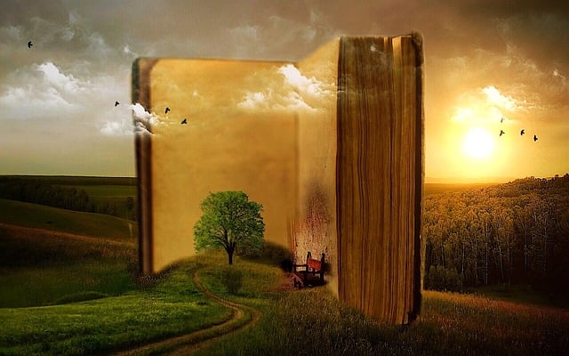 Image Citations.