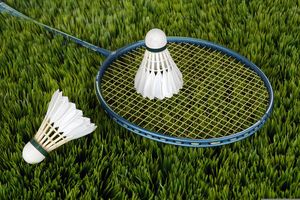 Petite illustration pour le badminton.